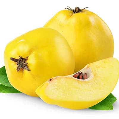 Ayva