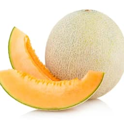 Kavun
