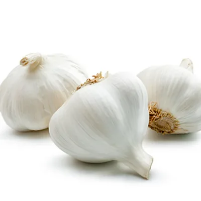 Sarımsak